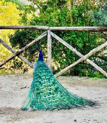  “La Danza del Pavone” Una Esplorazione Luminosa dell’Anima e della Natura!